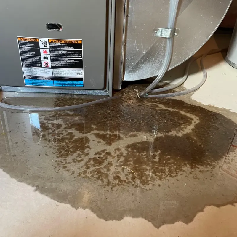 Appliance Leak Cleanup in Queen Creek, AZ